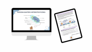 Cały kurs maturalny- dostęp na 2 miesiące