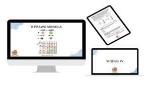 KURS MODUŁ IV- dostęp roczny